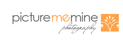 Utah Wedding Photographer, Utah Family Lifestyle Photographer logo